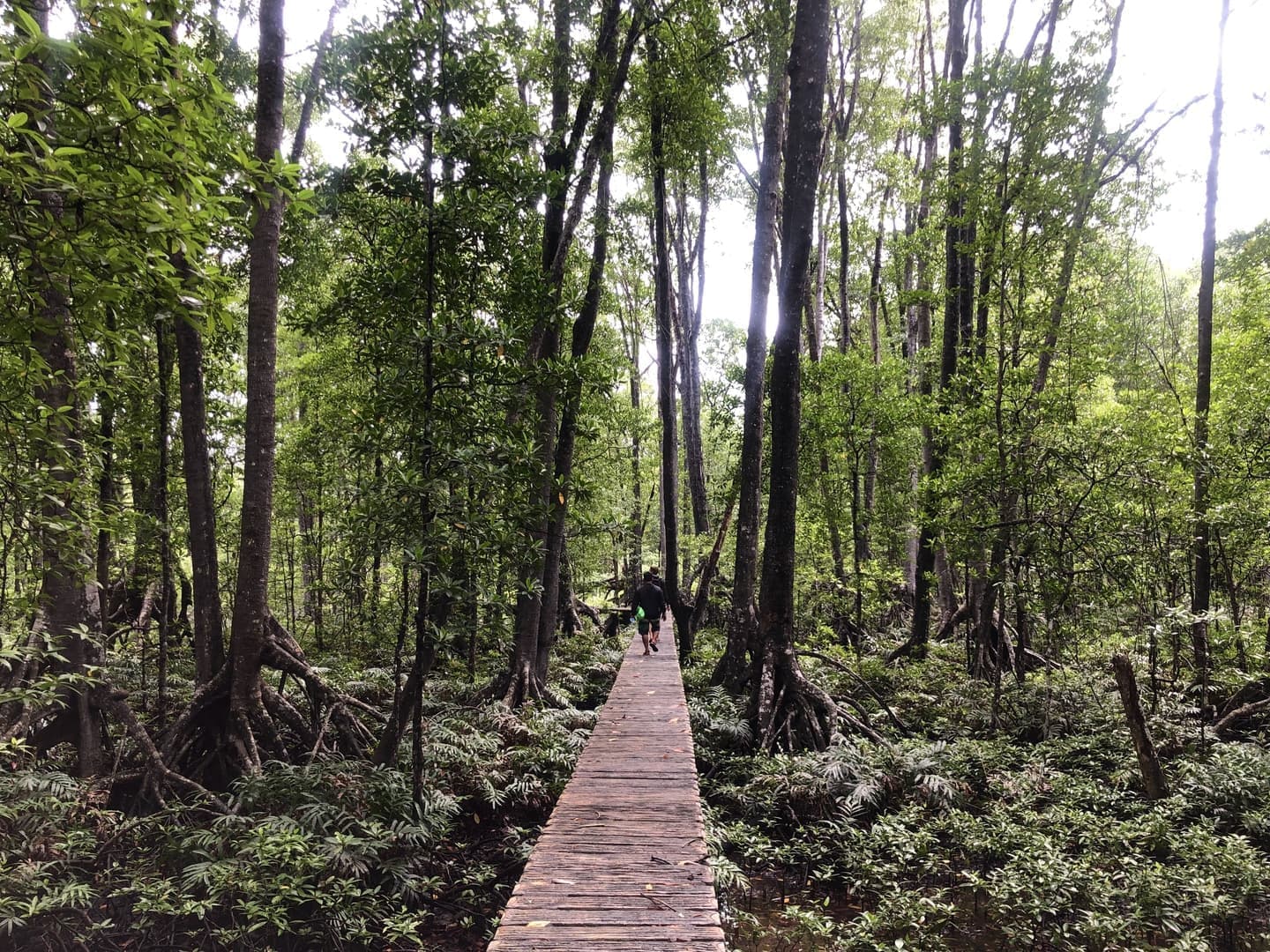 セリロン島観光